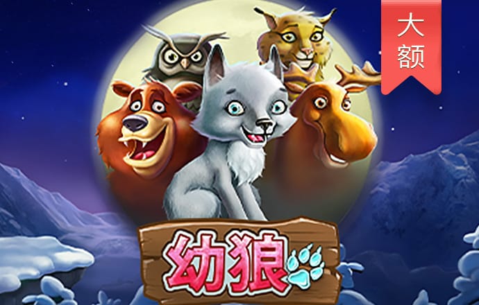 kai云体育app